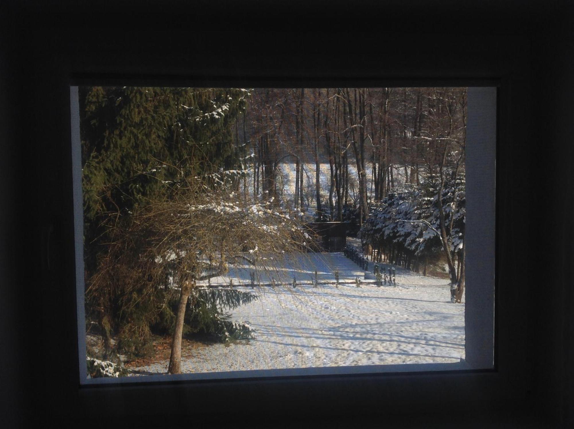 Penzion Zelena Zahrada Kladenske Rovne Buitenkant foto